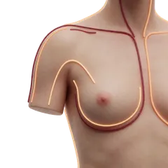Chronic Cervical & Back Pain