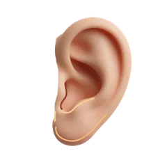 Elongated & Stretched Piercing Holes
