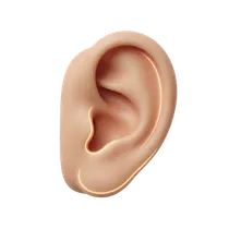 Lobe Thickness Preservation