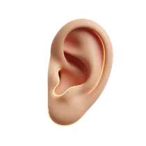 Split Cleft Fusion