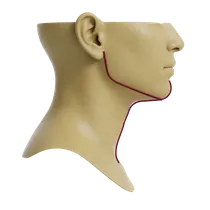 Submental Neck Angle