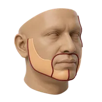 Mandibular Jaw Angle