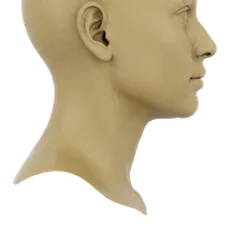 Submental Skin Tension
