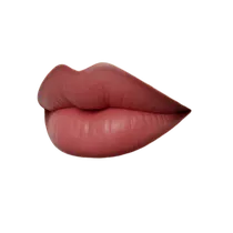 Lip Vermilion Plumping
