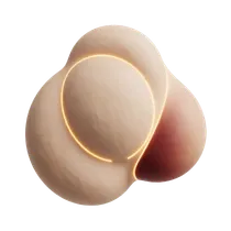 Hymenal Ring Integrity