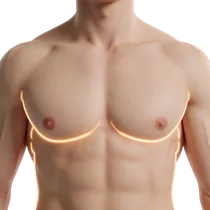 Male Chest