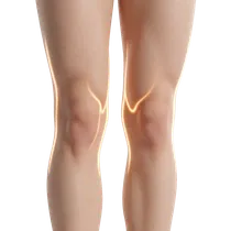 Thighs & Knees