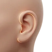 Bilateral Skull Symmetry