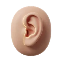 Ear Lobule Alignment