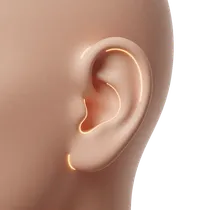 Post-Auricular Sulcus