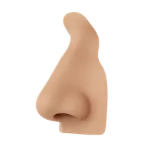Nasal Dorsum / Bridge