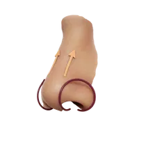 Nasal Tip Projection
