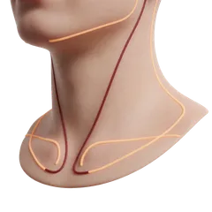 Painful Snagging on Jewelry