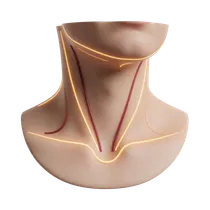 Axillary Underarm Folds