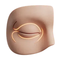 Eyelid & Periorbital Margins