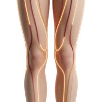 Circumferential Thigh Gap
