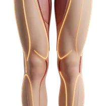 Lymphatic Drainage Safety
