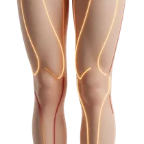 Upper Inner Thigh