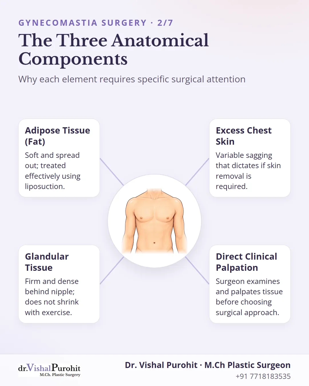 Breakdown of fat, gland, skin, and physical examination in gynecomastia.