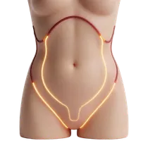 Mons Pubis Lifting