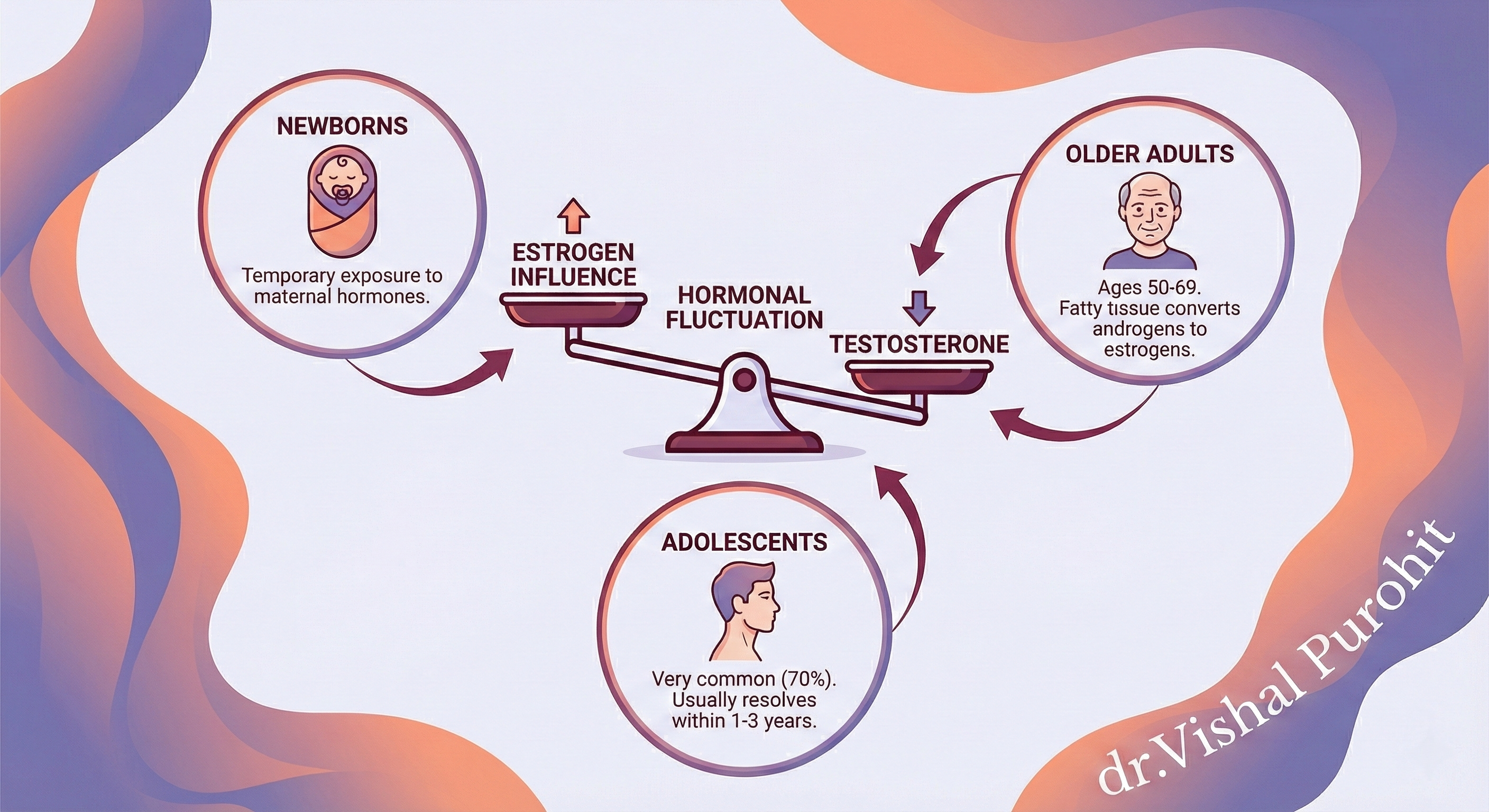 Infographic illustrating male hormonal fluctuations across life stages, branded by dr.Vishal Purohit. A central balance scale shows "Estrogen Influence" (up arrow) outweighing "Testosterone" (down arrow). Three circles connect to this scale: "Newborns" linked to temporary maternal hormones; "Adolescents" noting it is common (70%) and usually resolves; and "Older Adults" (ages 50-69) linked to fatty tissue converting androgens to estrogens.